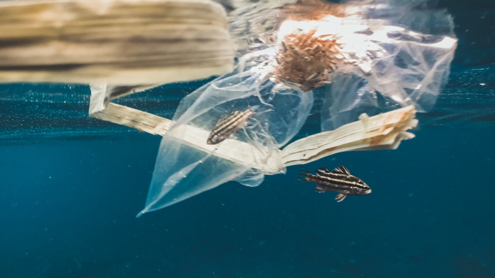 Oceans plastic litter sea