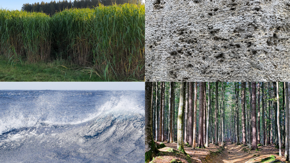 Terrestrische, geologische, materialbasierte und marine Ansätze für CO2-Entnahme und -Speicherung müssen umfassend und vergleichend bewertet werden.