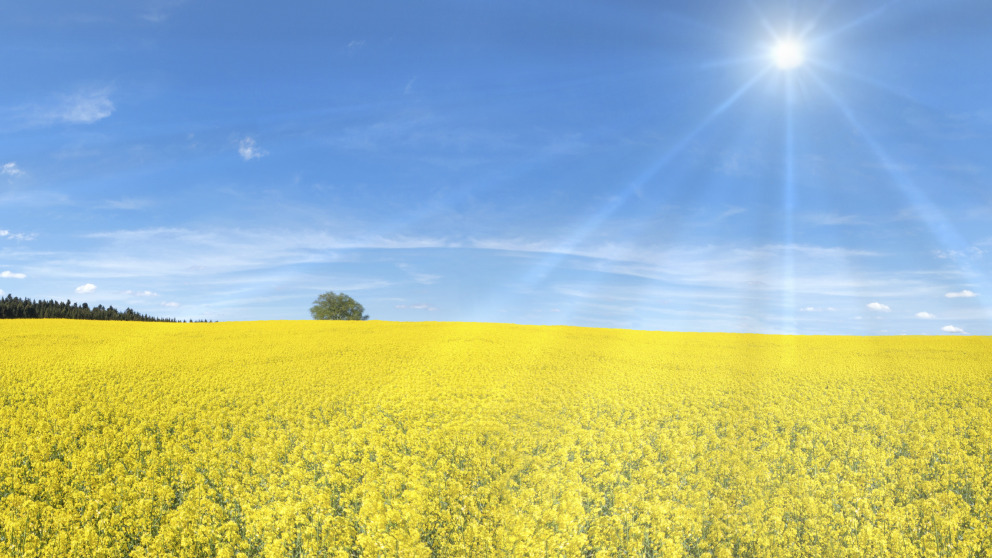 iStock_RobertSchneider