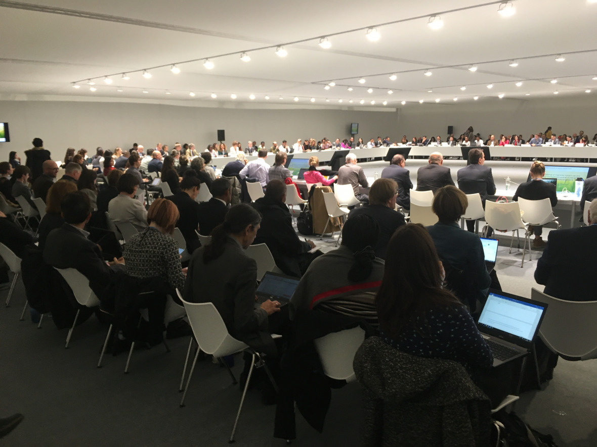 The technical working group on agriculture at COP25